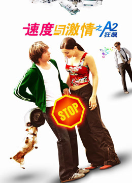 速度与激情（2004）封面图