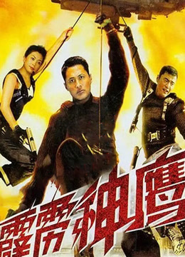 霹雳神鹰（1996）封面图