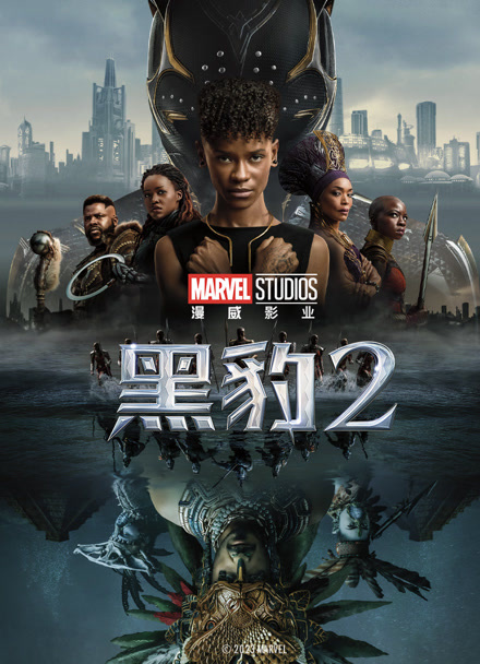 黑豹2（普通话）封面图