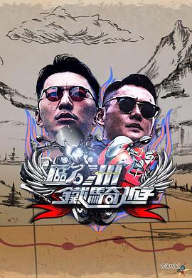 欧洲铁骑游2封面图