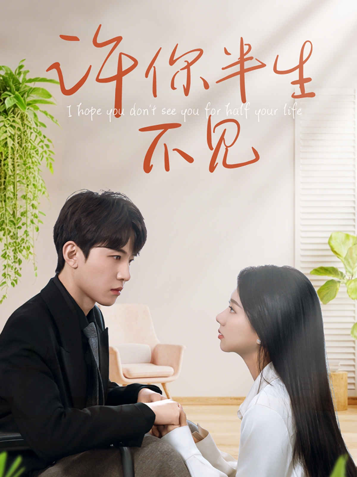 许你半生不见封面图
