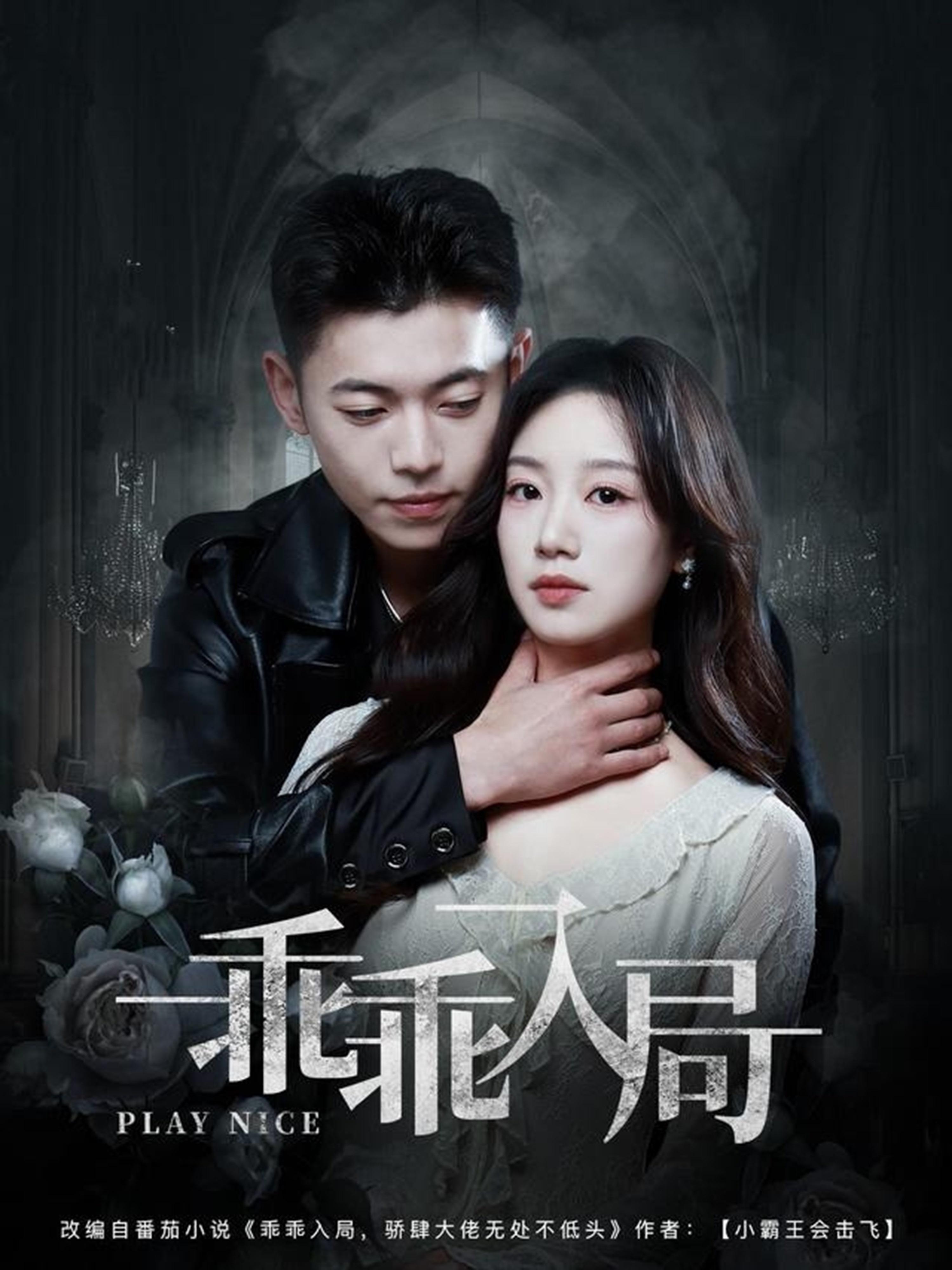 乖乖入局封面图