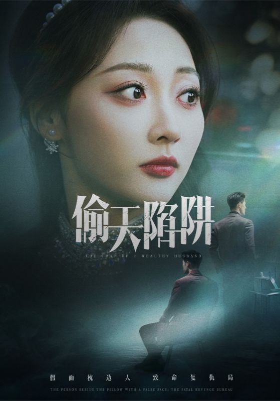 偷天陷阱封面图