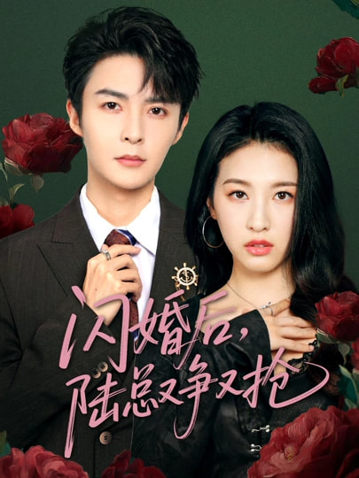 闪婚后陆总又争又抢封面图