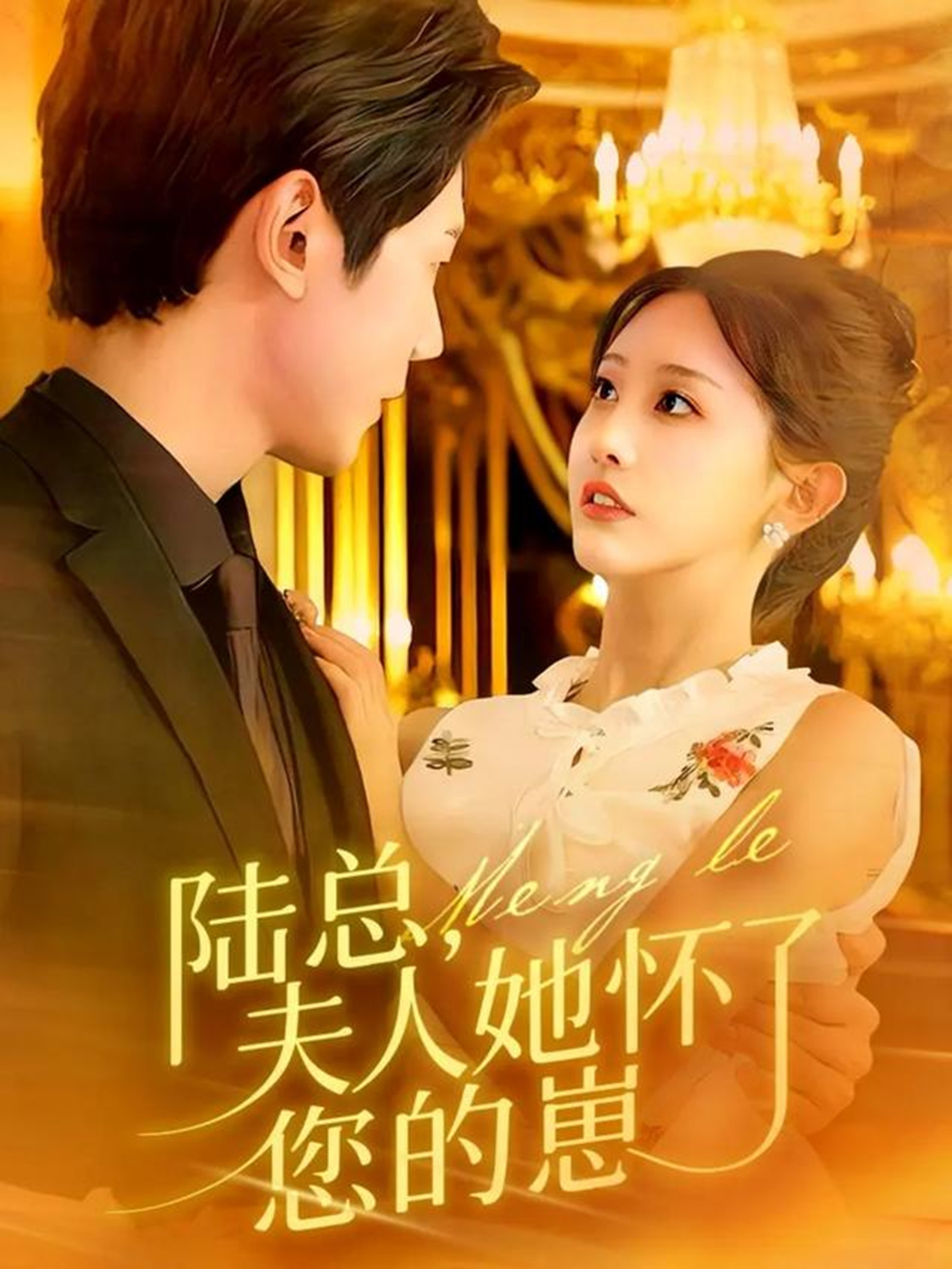 陆总，夫人她怀了您的崽封面图