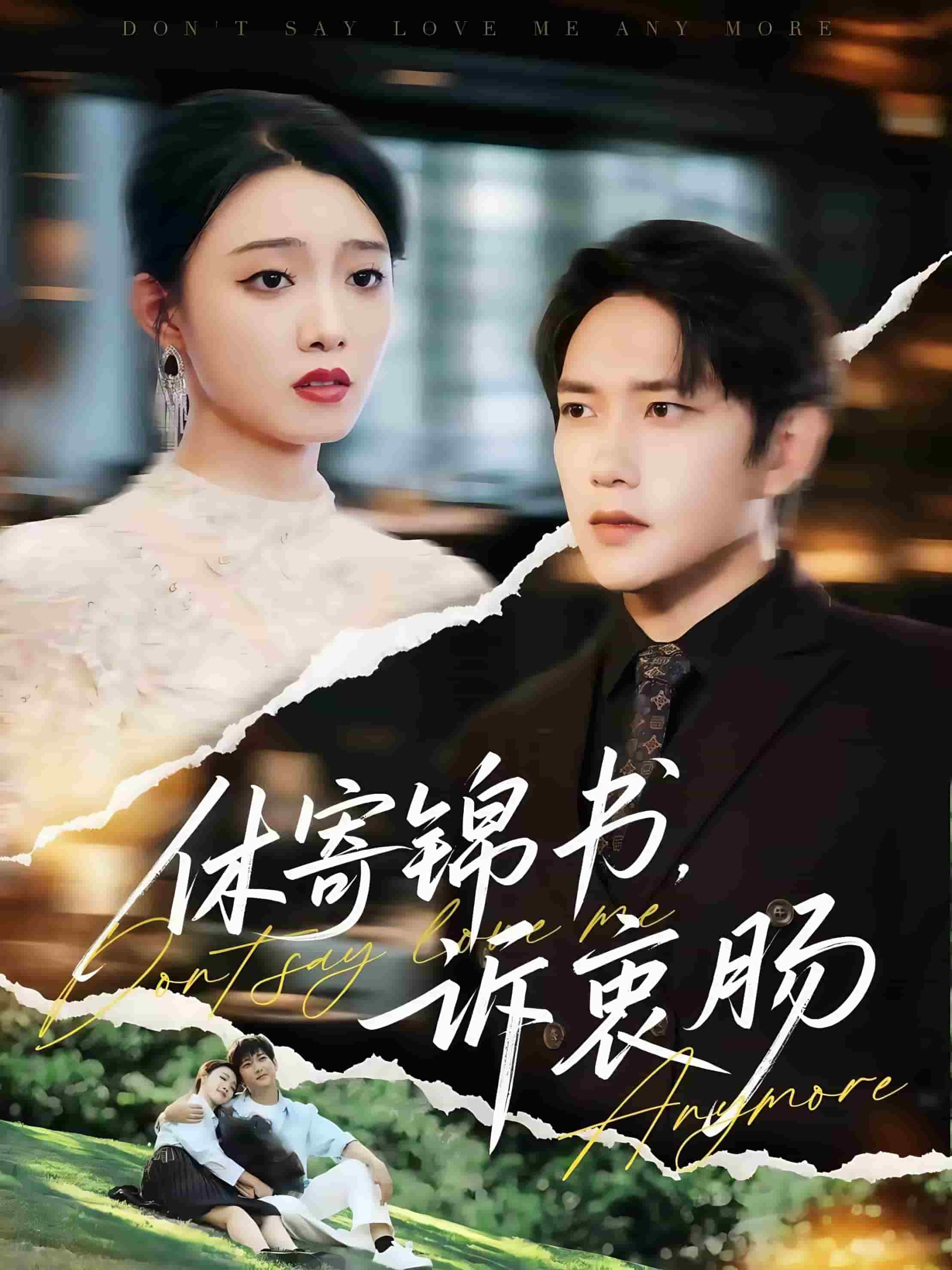 休寄锦书诉衷肠封面图