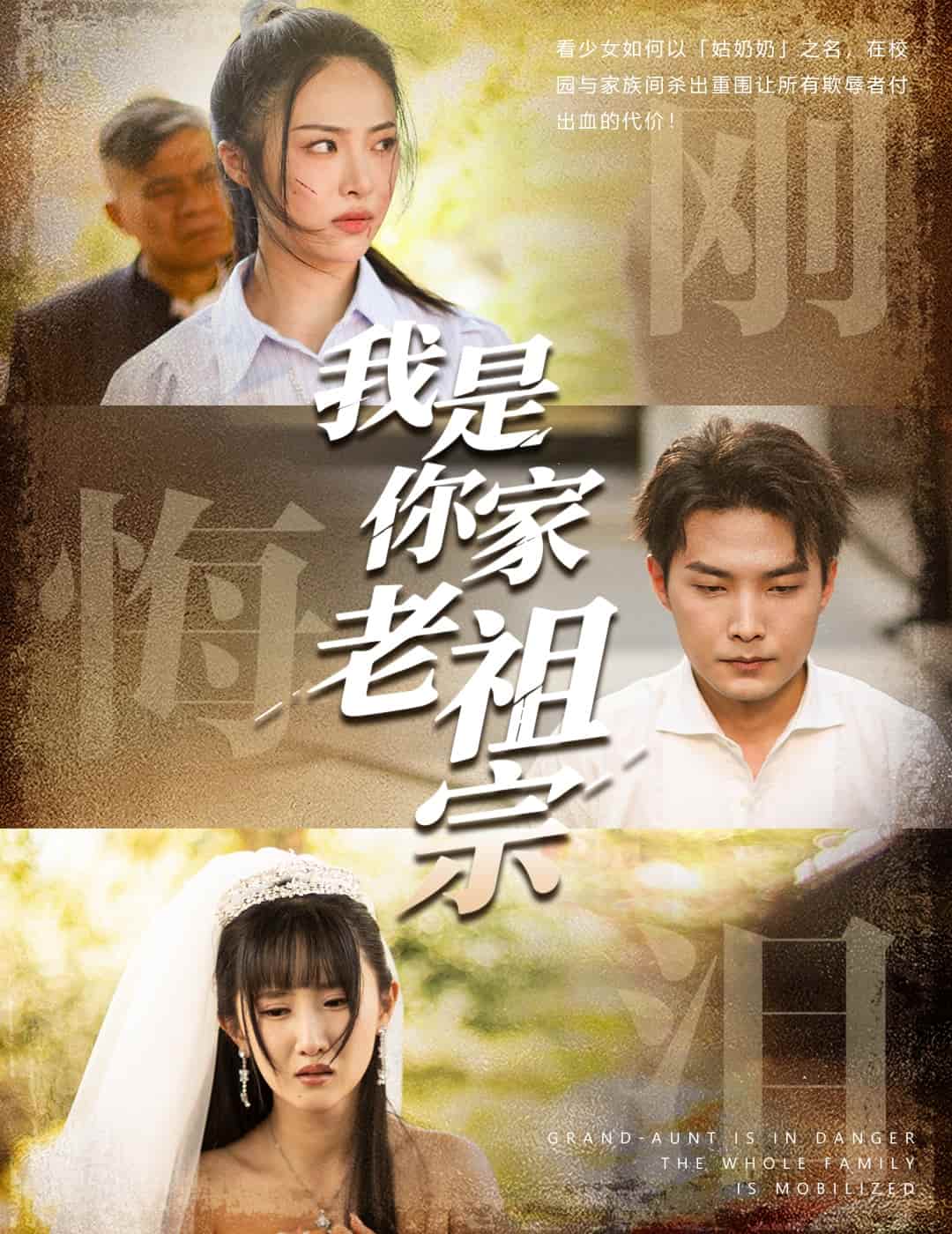 我是你家老祖宗封面图