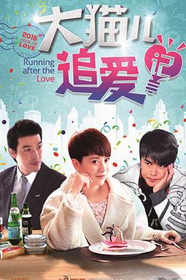 大猫儿追爱记封面图